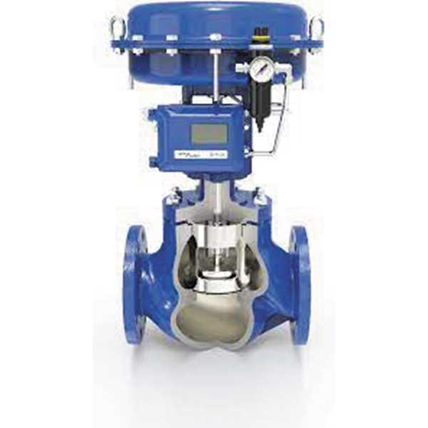 Control Valve Sectioned Image